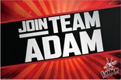 The Voice - Team Adam