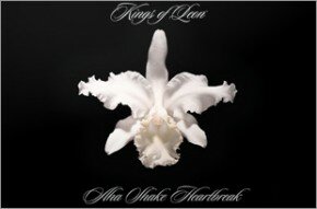 Kings of Leon - Heartbreak