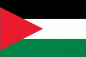 Flag - Palestine