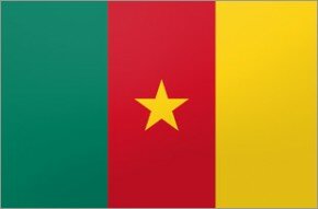 Flag - Cameroon