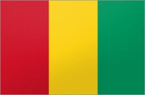 Flag - Guinea