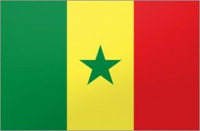Flag - Senegal