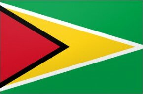 Flag - Guyana